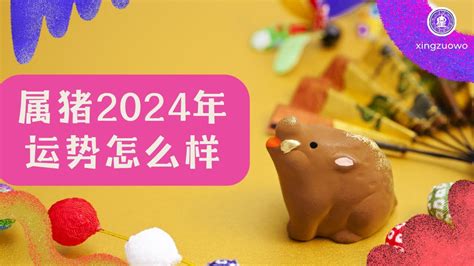 2024猪运程|2024属猪全年完整运气 属猪2024年运势及运程每月运程